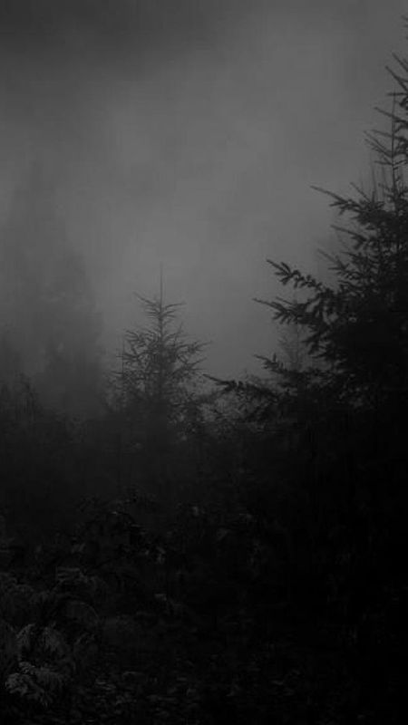 Depressing - Dark Forest Wallpaper Download | MobCup