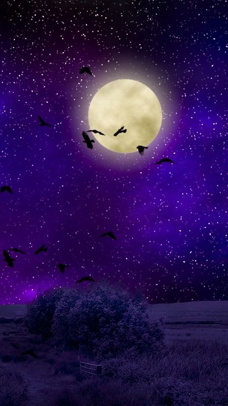 Purple Cloud With Moon During Night Time HD Purple Wallpapers  HD  Wallpapers  ID 36999
