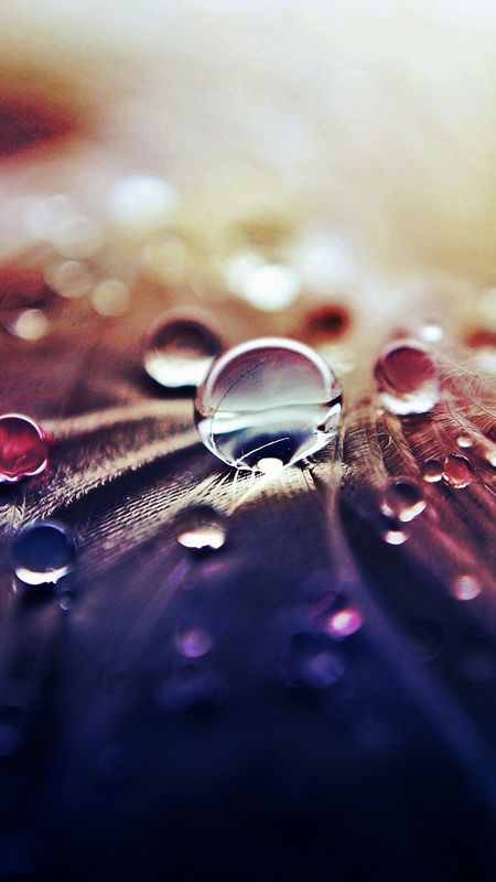 Water Drop Notch - Water Drop HD Wallpaper Download | MobCup