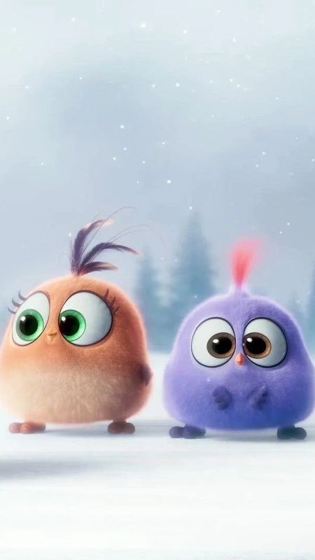 cute angry birds