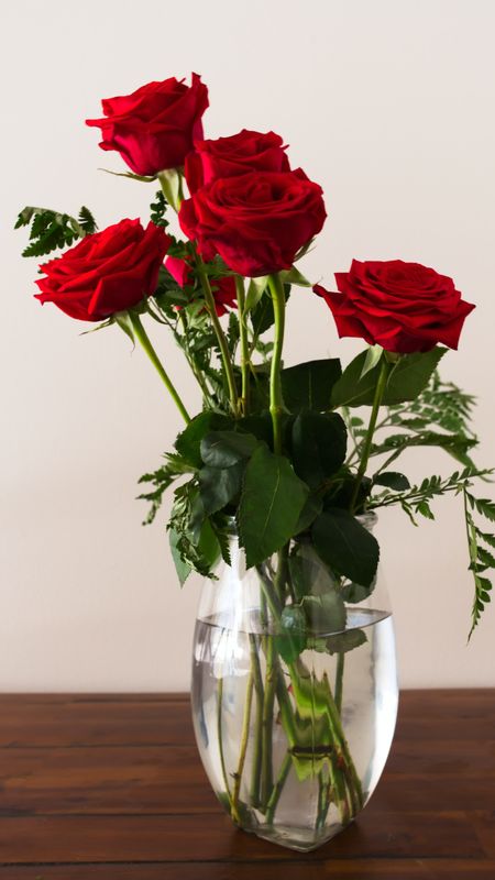 Red Rose Flower In Vase Wallpaper Download | MobCup