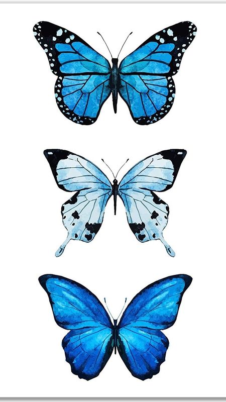 Blue Butterfly | Beautiful | Aesthetic Wallpaper Download | MobCup