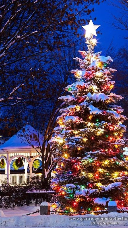 Christmas Lightings | Christmas Tree Wallpaper Download | MobCup