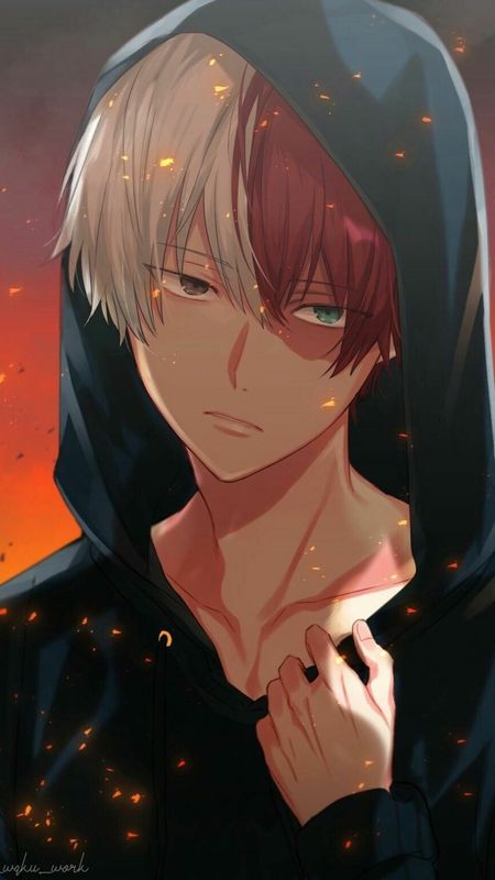 Download Anime Profile Picture Shoto Todoroki Wallpaper