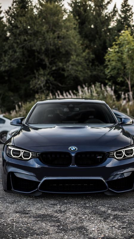 Bmw | Royal Car | Black Car Wallpaper Download | MobCup