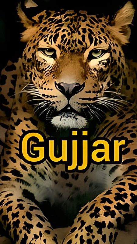 Gujjar - Leopard Background Wallpaper Download | MobCup Gujjar - Leopard Background Wallpaper Download | MobCup