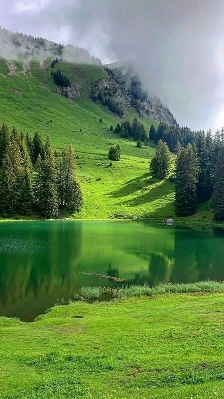 Best Scenery - Greenery Mountains Wallpaper Download | MobCup