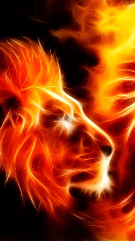 Fire Lion - Fire Background Wallpaper Download | MobCup