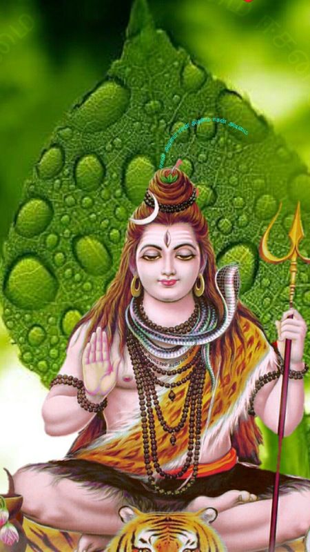 Lord Shiva Live - Green Leaf Background Wallpaper Download | MobCup