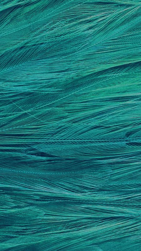 Teal Color | Teal Aesthetic Wallpaper Download | MobCup