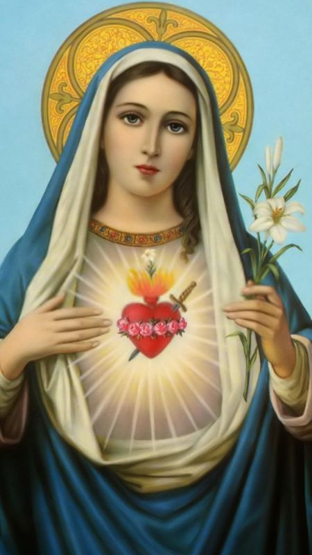 Immaculate Heart of MaryRed 72 MB Mother mary  Virgin HD phone wallpaper   Pxfuel