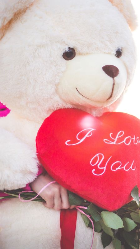 Teddy Bear - i love you valentine Wallpaper Download | MobCup