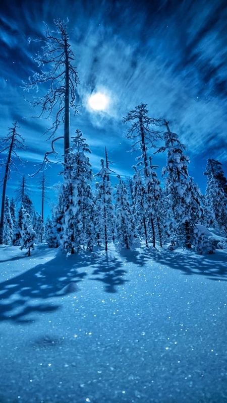 Snow Winter Night Free Stock Video  Pixabay