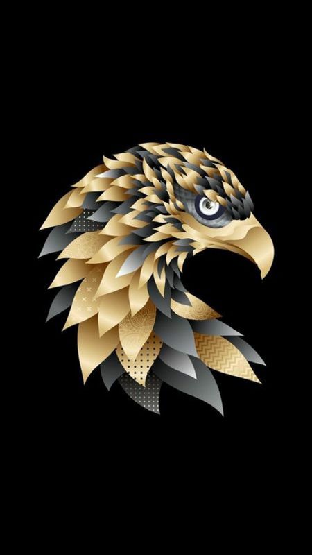 Eagle 🦅 Wallpaper Download | MobCup