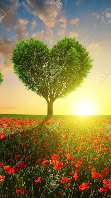 Love tree Wallpaper Download | MobCup