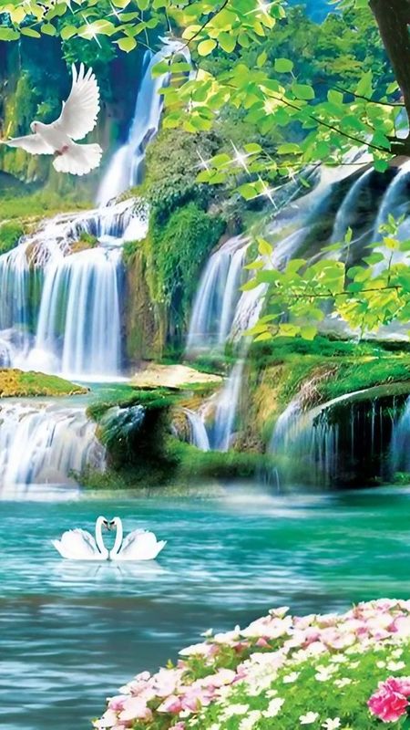 Waterfall Photos Hd Free Download Background Wallpaper