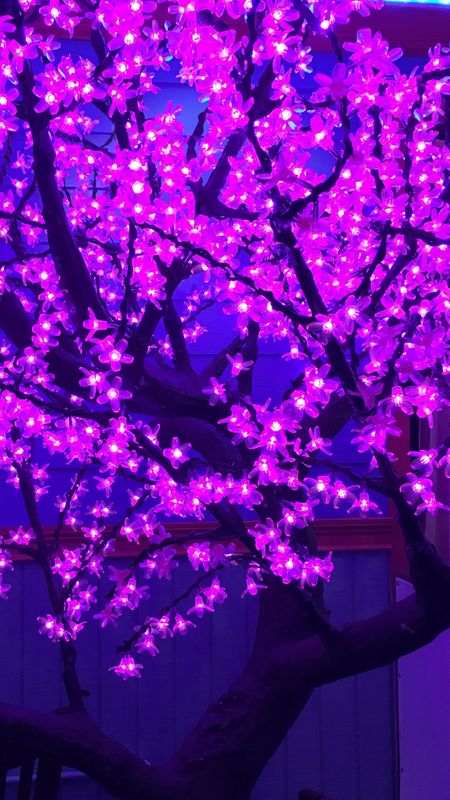 Purple tree HD wallpapers | Pxfuel