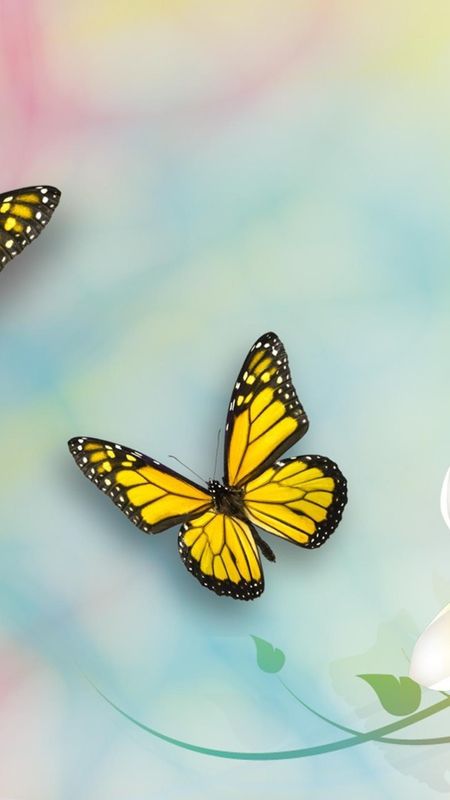 Yellow Butterfly  Beautiful Aesthetic Wallpaper Download  MobCup