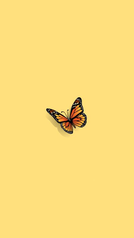 by nathalieacacia03 nathalieacacia on instagram  Butterfly wallpaper  iphone Iphone background wallpaper Aesthetic iphone wallpaper