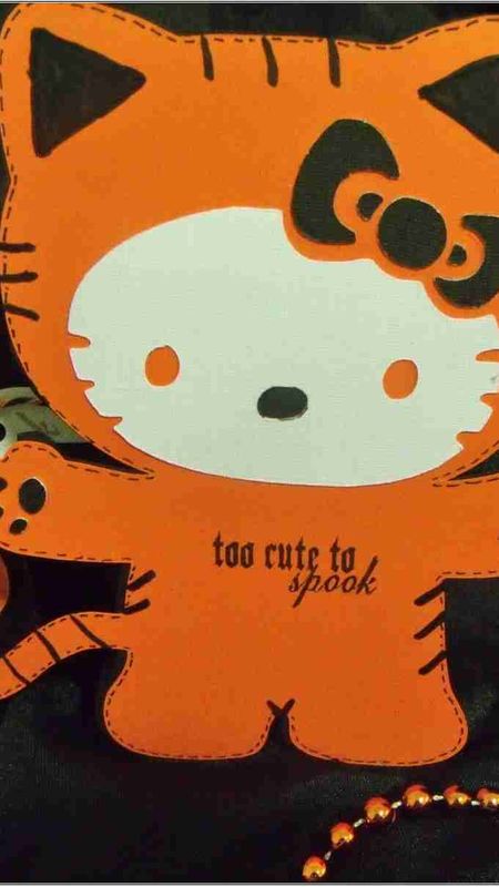 Orange kitty Wallpaper Download | MobCup
