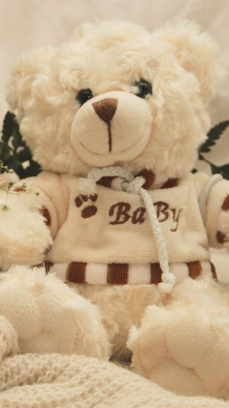 bade wale teddy bear