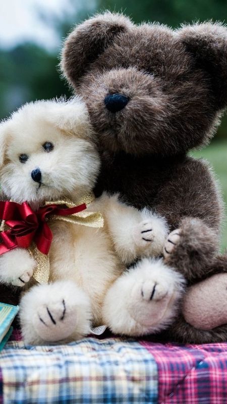 bade wale teddy bear