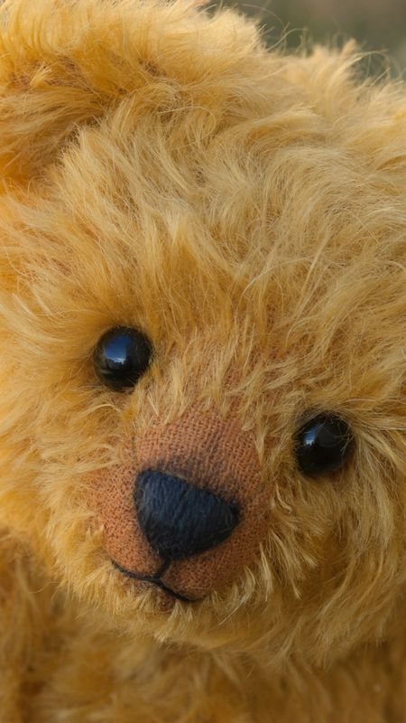 New Teddy Bear - yellow teddy Wallpaper Download | MobCup