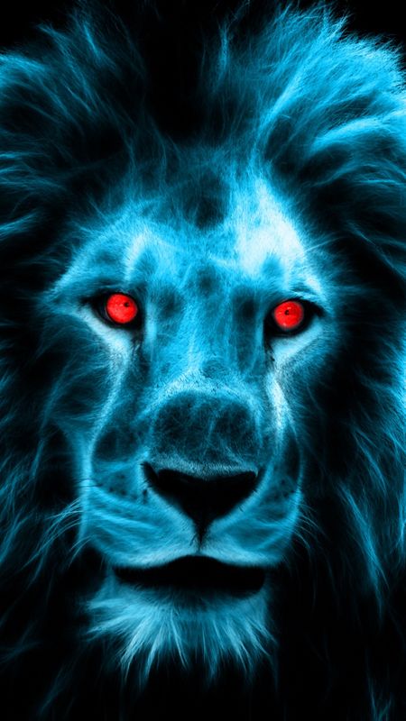 Lion animation iphone HD wallpapers  Pxfuel
