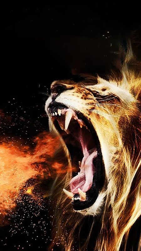 Fire Wallpaper  Fire Lion Backgrounds APK for Android Download