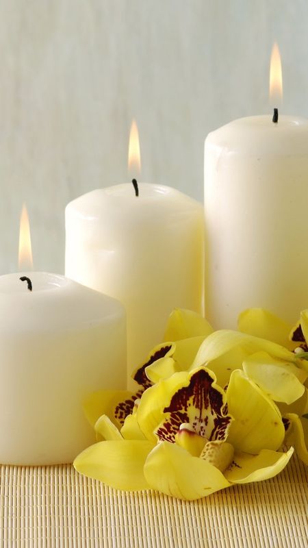 Candles HD - Flowers Background Wallpaper Download | MobCup