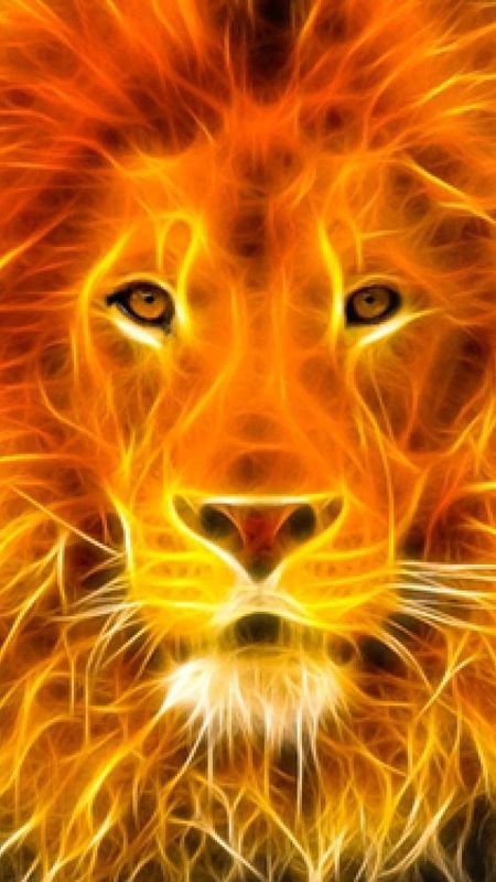 Fire Lion Wallpaper  Keyboard APK for Android Download