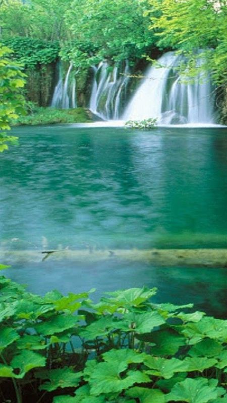 Natural Scenery - Waterfall With Green Water Wallpaper Download | MobCup