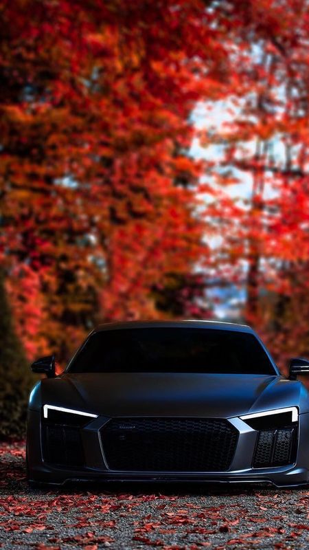 Black Car | Black Audi Car Wallpaper Download | MobCup