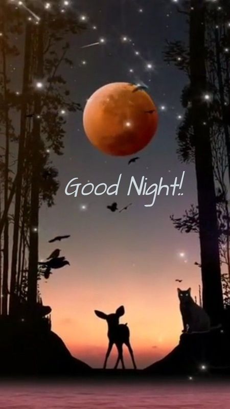 Good Night - Beautiful Nature - Background Wallpaper Download | MobCup