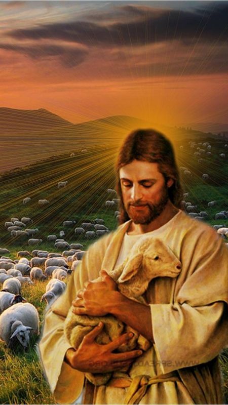 Jesus - Jesus With Lamb - Sheep Background Wallpaper Download | MobCup
