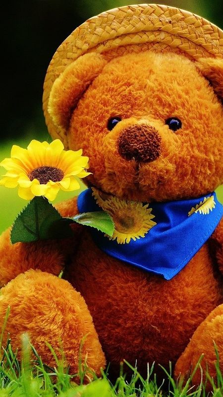 Teddy Bear Ke Cute Big Teddy Wallpaper Download Mobcup