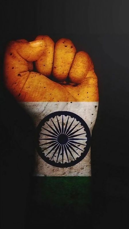 INDIAN FLAG BY ARSHIT, big_cats, art HD phone wallpaper | Pxfuel
