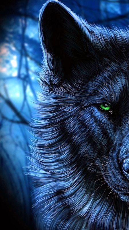 hd wolf wallpapers