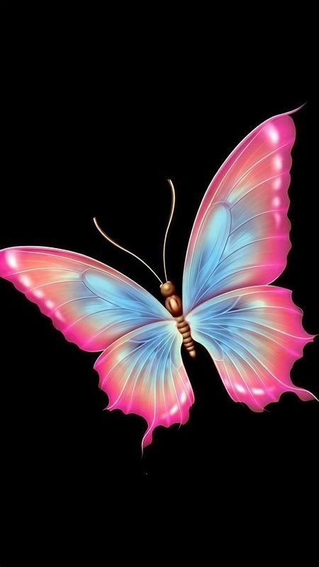 Butterfly Images - Black Background Wallpaper Download 