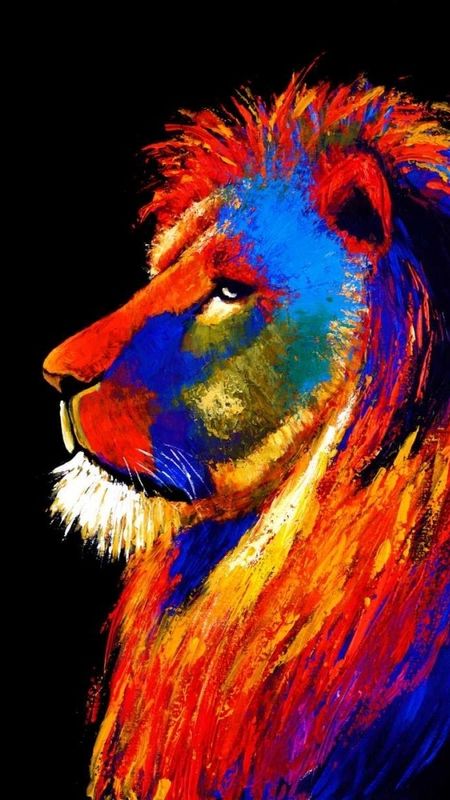 colorful lion wallpaper