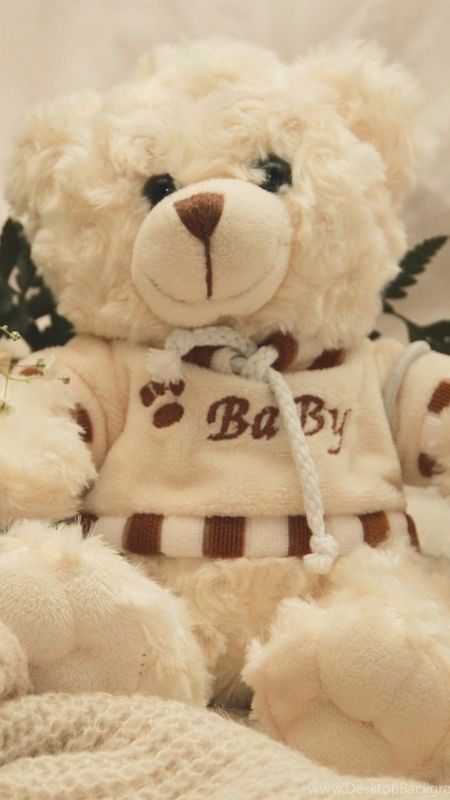 bade wale teddy bear