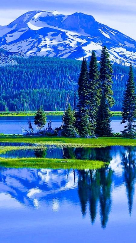 Beautiful Nature | Blue Mountain Wallpaper Download | MobCup