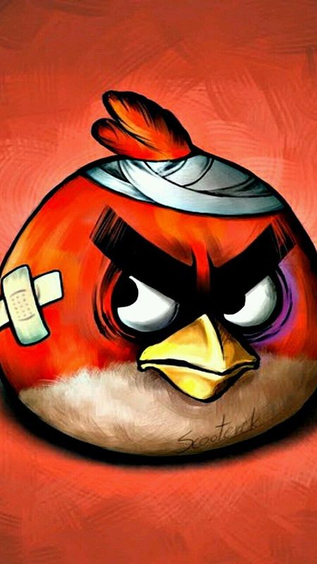 red angry bird wallpaper