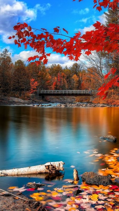 Colorful Autumn Fall Roadway 4K Ultra HD Mobile Wallpaper
