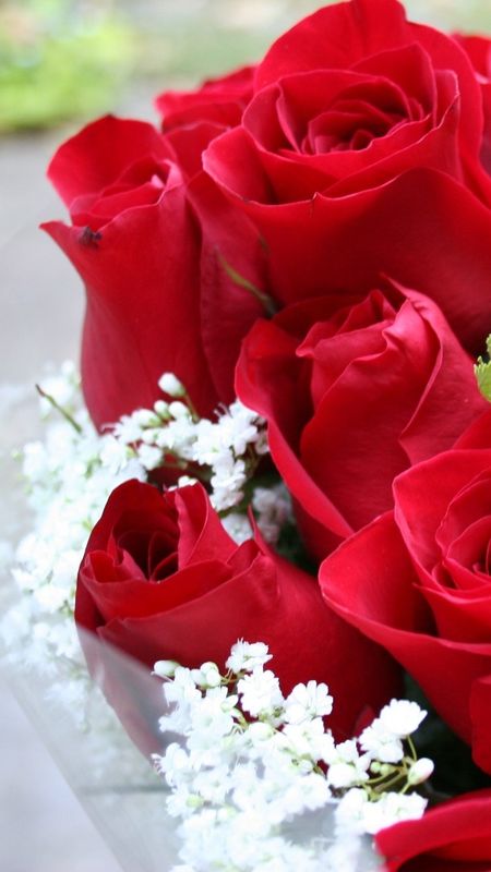 Beautiful Flowers Roses - Rose - Bouquet Wallpaper Download | MobCup