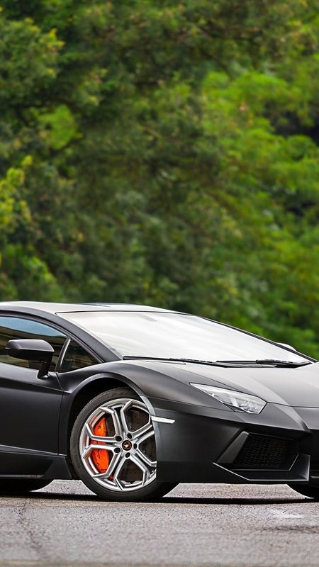 Black Lamborghini With Tree Background Wallpaper Download | MobCup