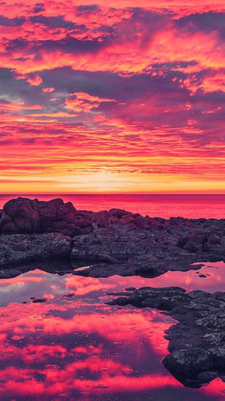 Pink sunset seashore nature wallpaper background  OpenDesktoporg
