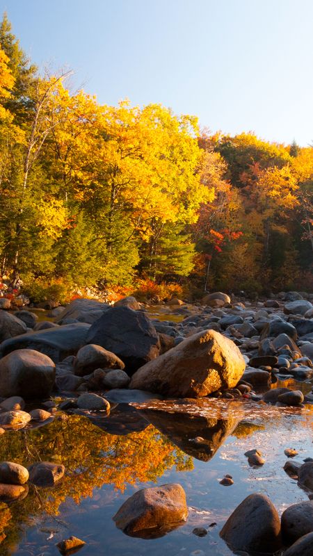 Nature Wallpaper