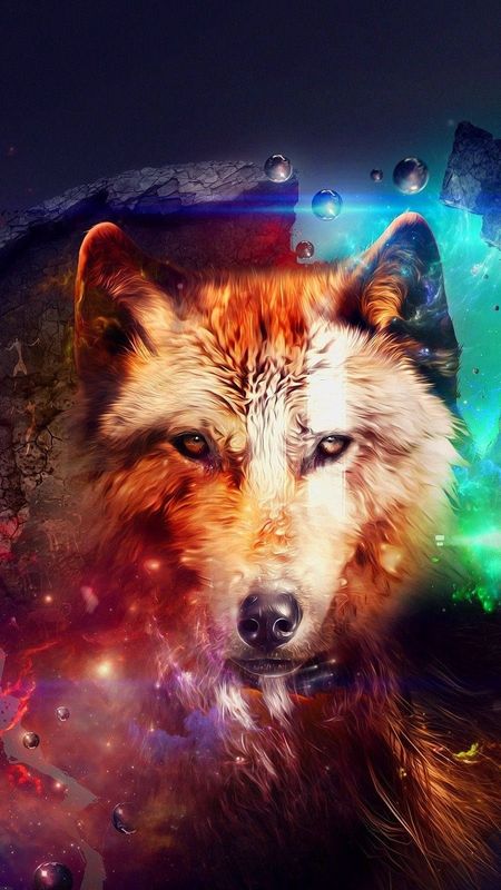 WOLF GALAXY wallpaper by AlphonsusCreations  Download on ZEDGE  2871