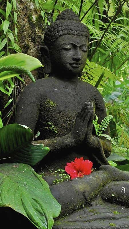 Bhagwan Buddha - Nature Background Wallpaper Download | MobCup Bhagwan Buddha - Nature Background Wallpaper Download | MobCup